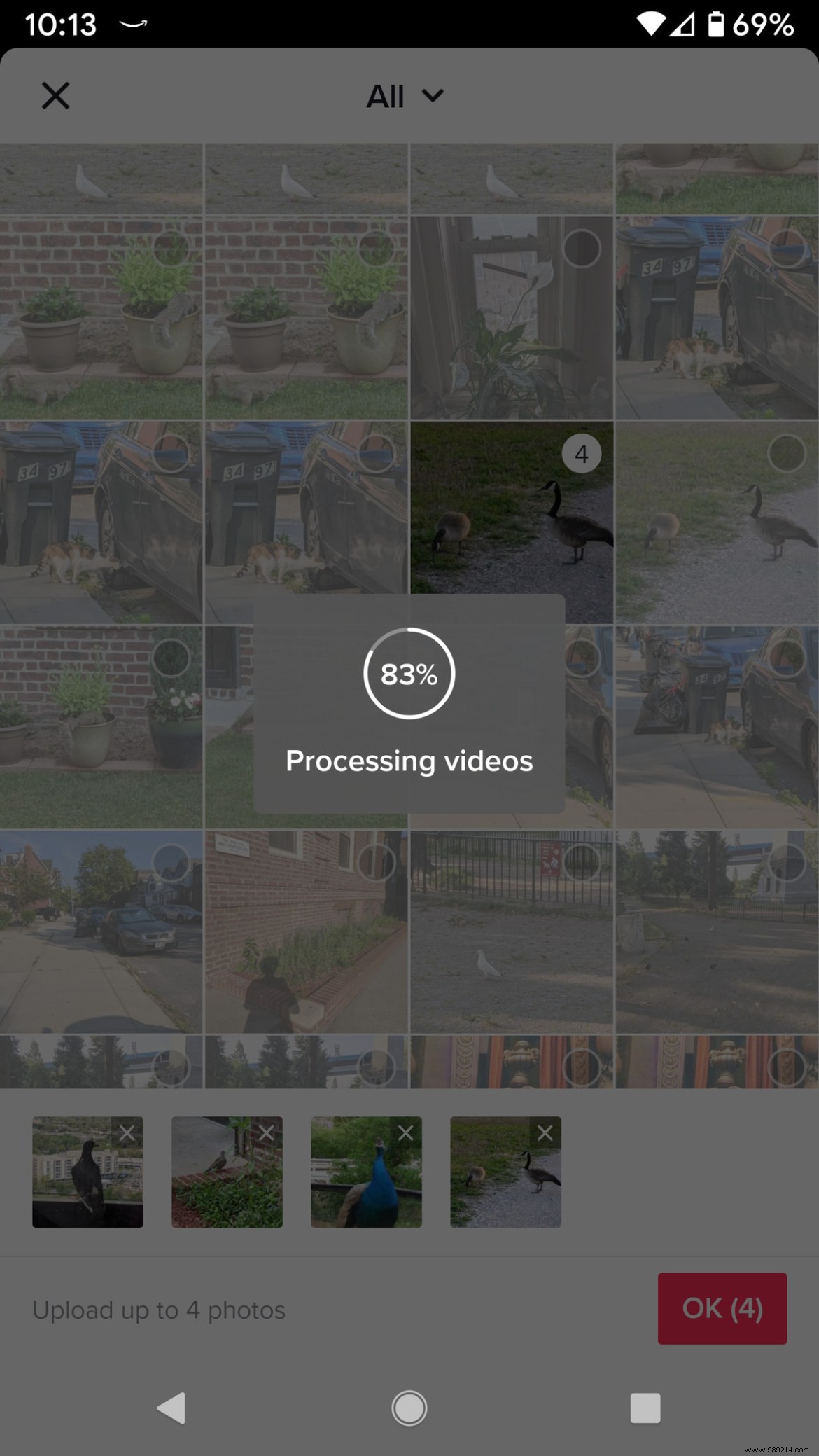 TikTok Templates Guide: Create Stunning Videos in Minutes