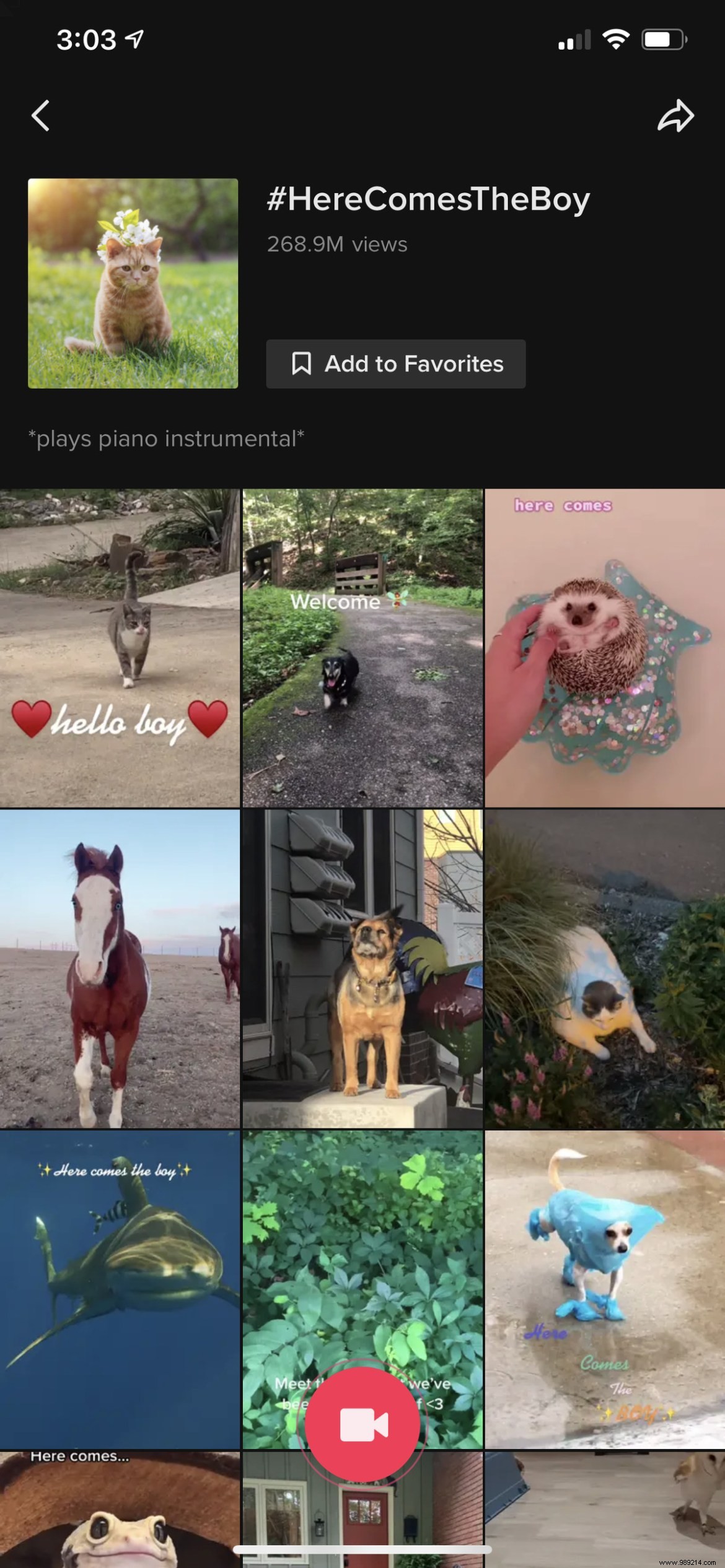 Master TikTok Trends: Proven Strategies to Boost Views and Engagement