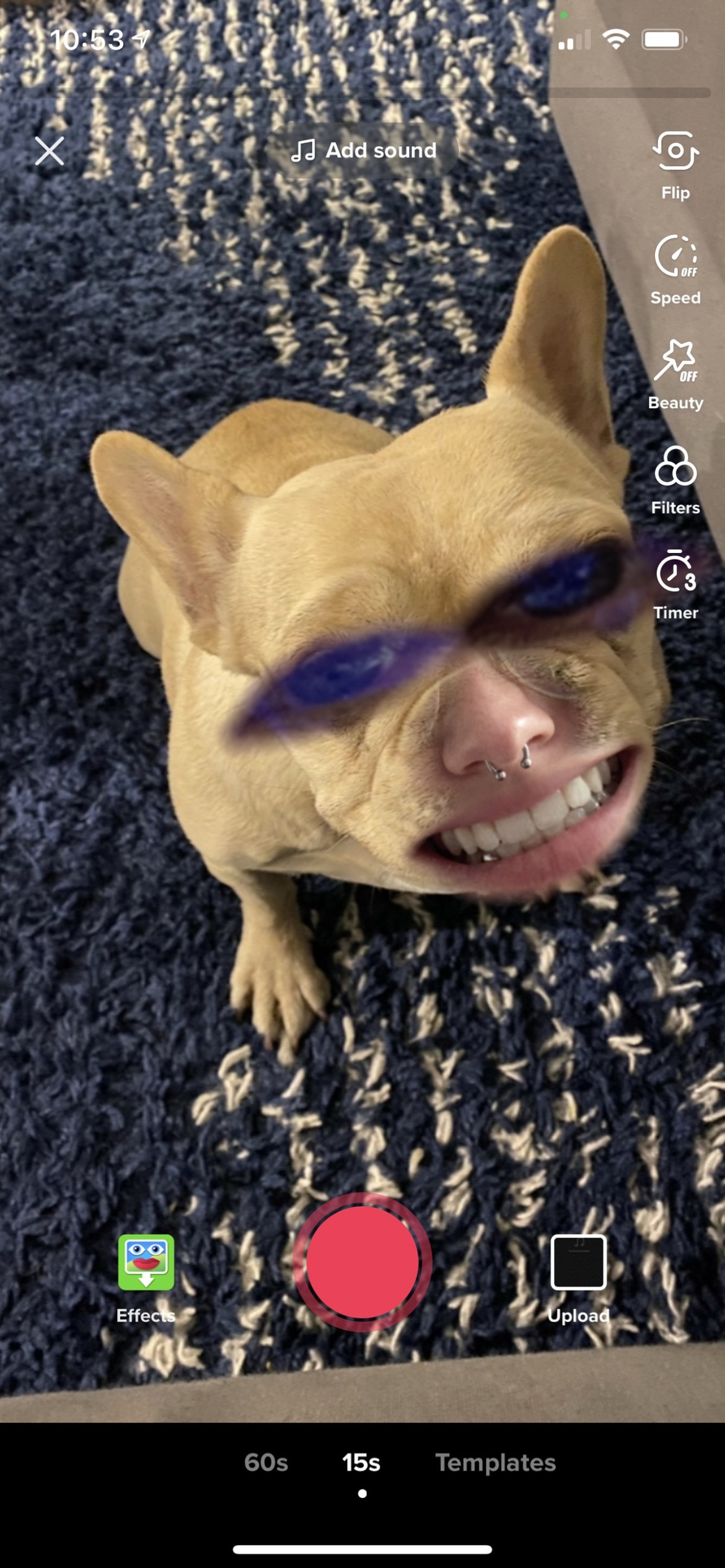 Master TikTok s Green Screen Effect: Step-by-Step Guide from an Experienced Creator