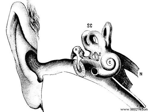 How Audio Compression Works: Bitrate, Psychoacoustics, and the Truth About Lossless Audio