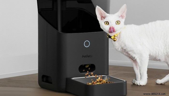 5 Best High-Tech Gadgets for Dogs: Boost Safety, Health, and Happiness