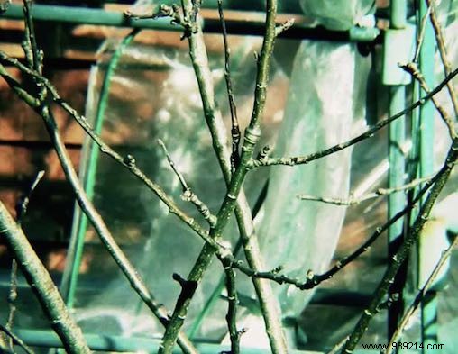 Mastering Video Aspect Ratios: Fix Squished Videos and Get a Pro Cinematic Look