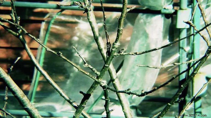 Mastering Video Aspect Ratios: Fix Squished Videos and Get a Pro Cinematic Look