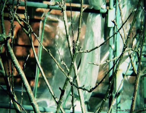 Mastering Video Aspect Ratios: Fix Squished Videos and Get a Pro Cinematic Look