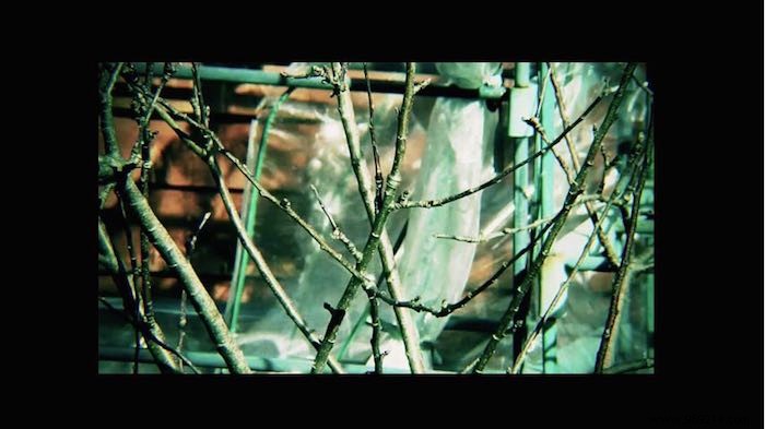 Mastering Video Aspect Ratios: Fix Squished Videos and Get a Pro Cinematic Look