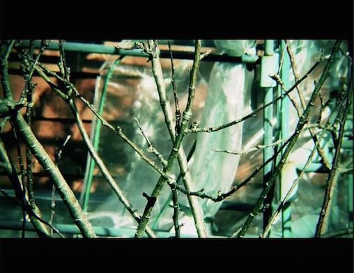 Mastering Video Aspect Ratios: Fix Squished Videos and Get a Pro Cinematic Look