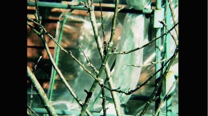 Mastering Video Aspect Ratios: Fix Squished Videos and Get a Pro Cinematic Look