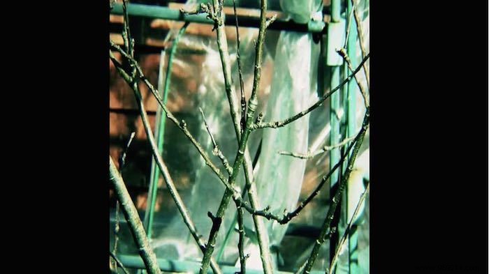 Mastering Video Aspect Ratios: Fix Squished Videos and Get a Pro Cinematic Look