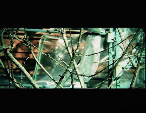 Mastering Video Aspect Ratios: Fix Squished Videos and Get a Pro Cinematic Look