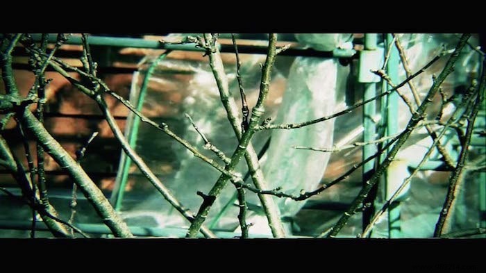 Mastering Video Aspect Ratios: Fix Squished Videos and Get a Pro Cinematic Look