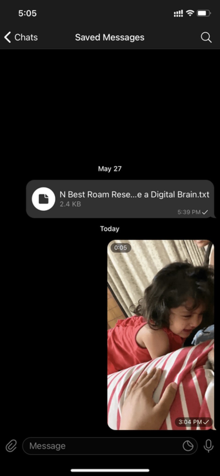 2 Reliable Ways to Play Telegram Videos on Your iPhone