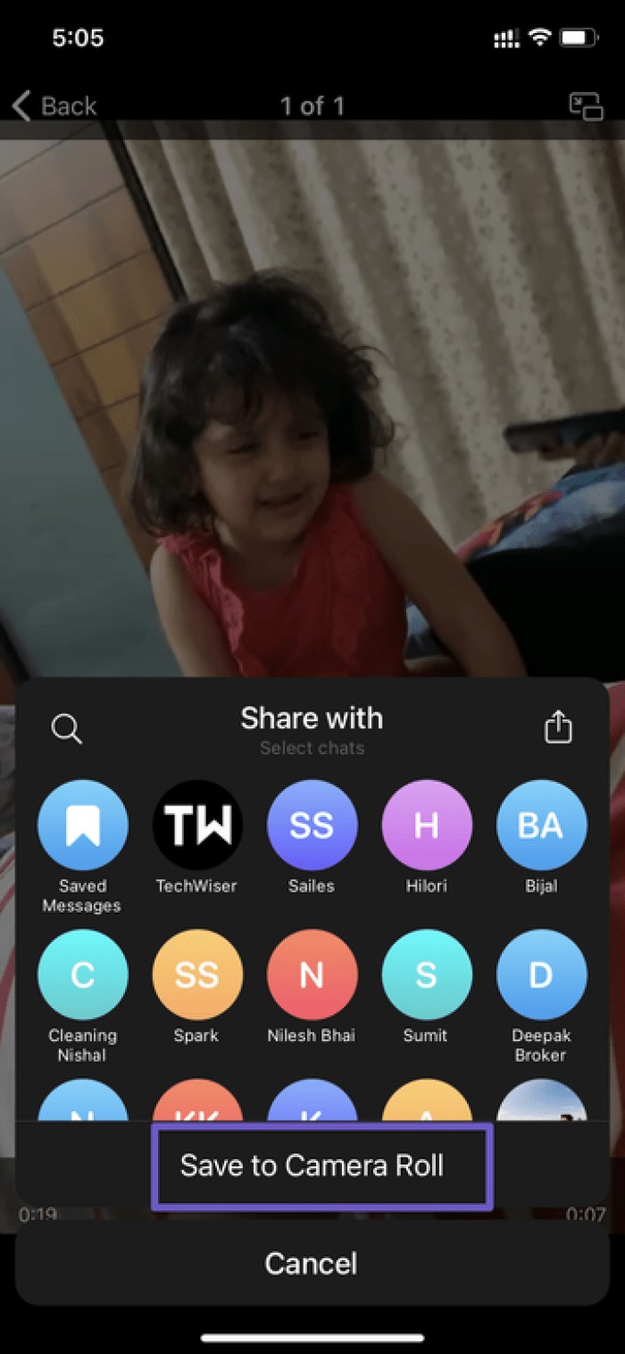 2 Reliable Ways to Play Telegram Videos on Your iPhone