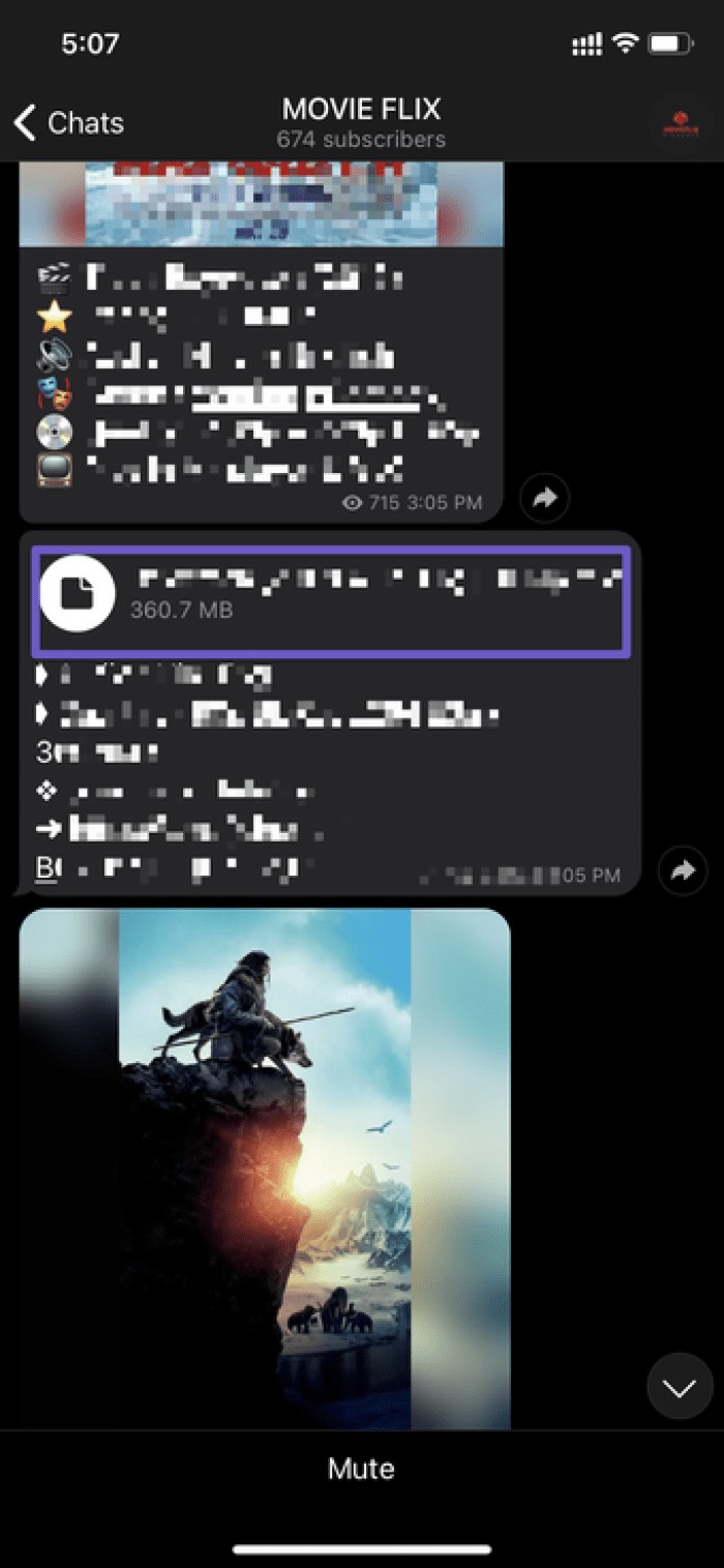 2 Reliable Ways to Play Telegram Videos on Your iPhone