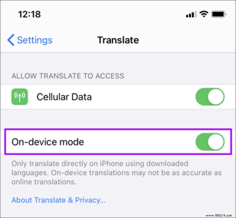 9 Essential Apple Translate Tips and Tricks Every iPhone User Should Know