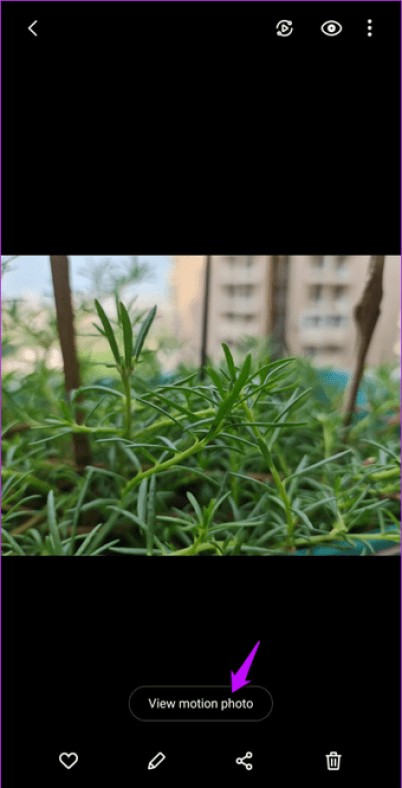 9 Expert Samsung Galaxy Note 20 Camera Tips and Tricks for Pro Results