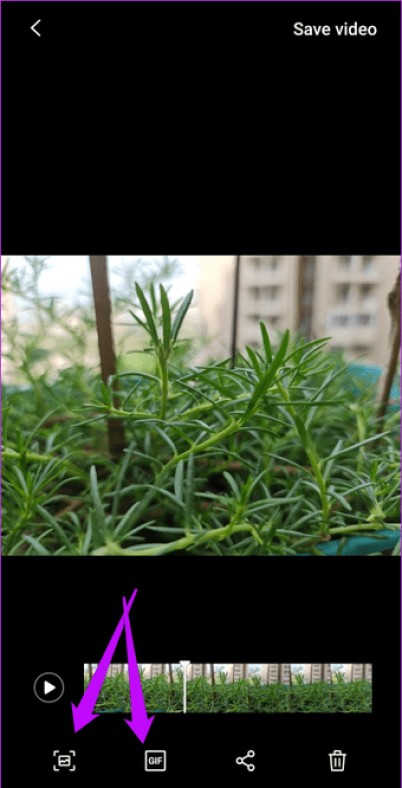 9 Expert Samsung Galaxy Note 20 Camera Tips and Tricks for Pro Results