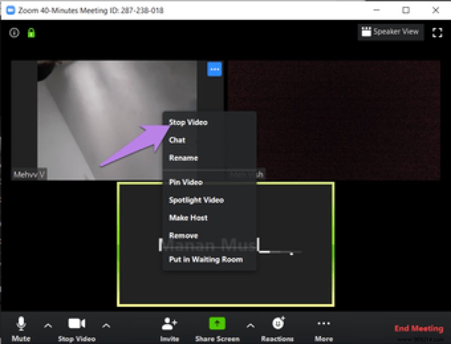 13 Essential Zoom Video Settings to Elevate Your Meetings