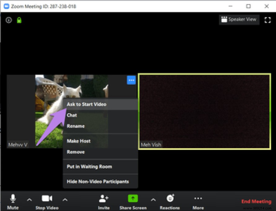 13 Essential Zoom Video Settings to Elevate Your Meetings