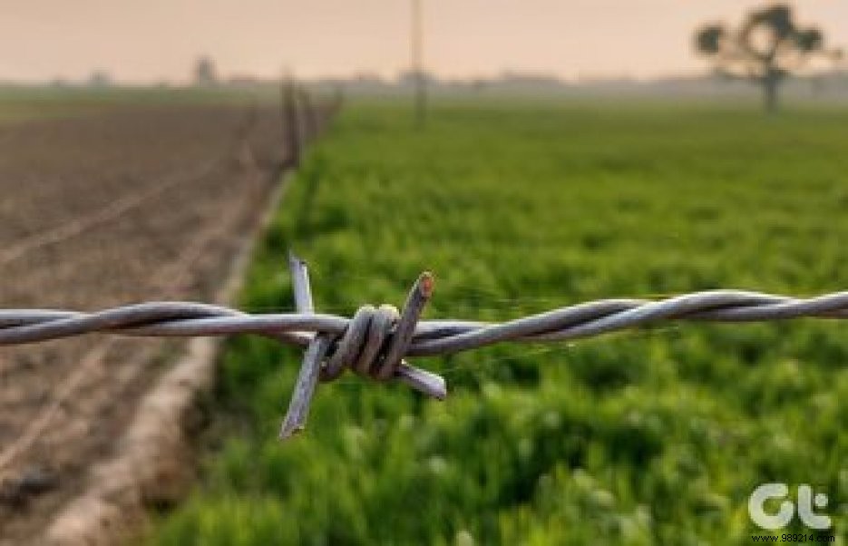 8 Expert Samsung Galaxy S10 Lite Camera Tips for Professional-Quality Shots