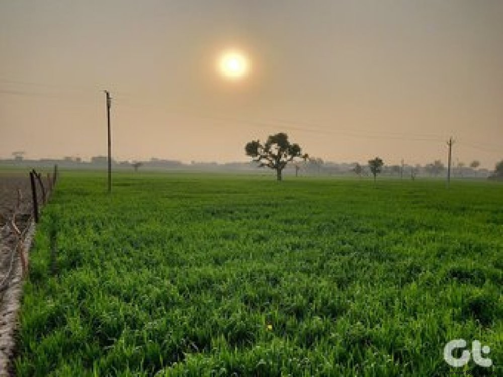 8 Expert Samsung Galaxy S10 Lite Camera Tips for Professional-Quality Shots