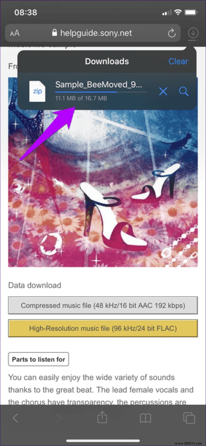 7 Essential Safari Download Manager Tips for iPhone and iPad