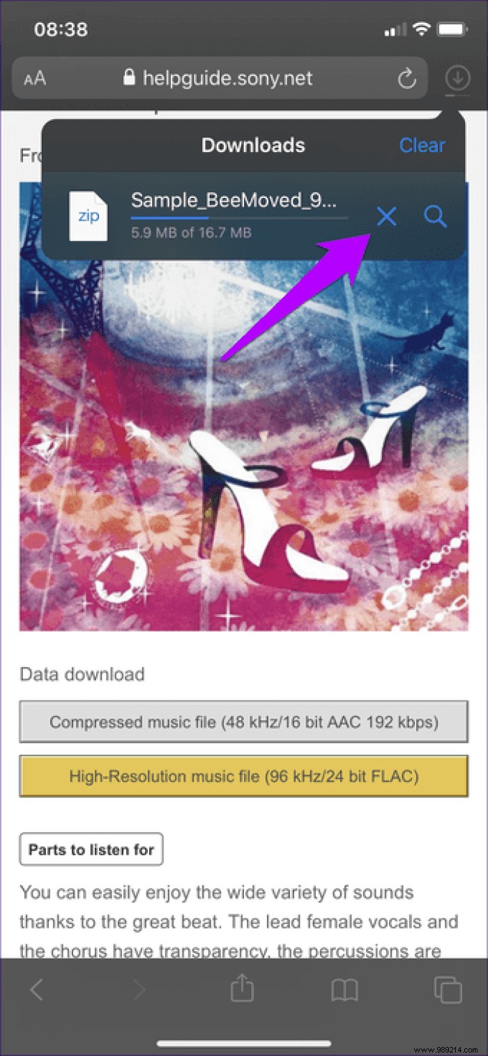 7 Essential Safari Download Manager Tips for iPhone and iPad