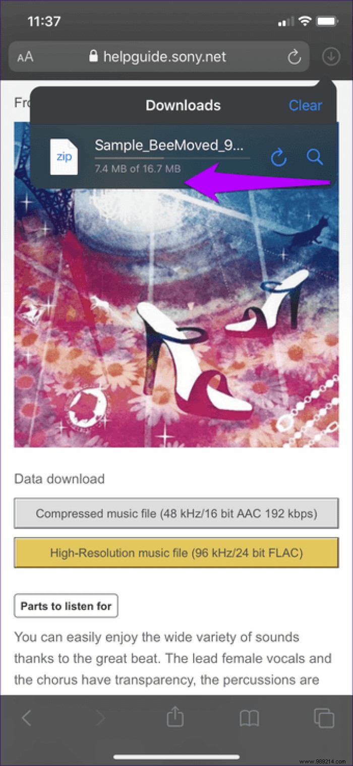 7 Essential Safari Download Manager Tips for iPhone and iPad