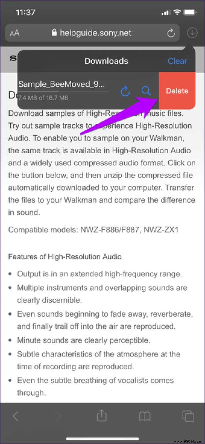 7 Essential Safari Download Manager Tips for iPhone and iPad