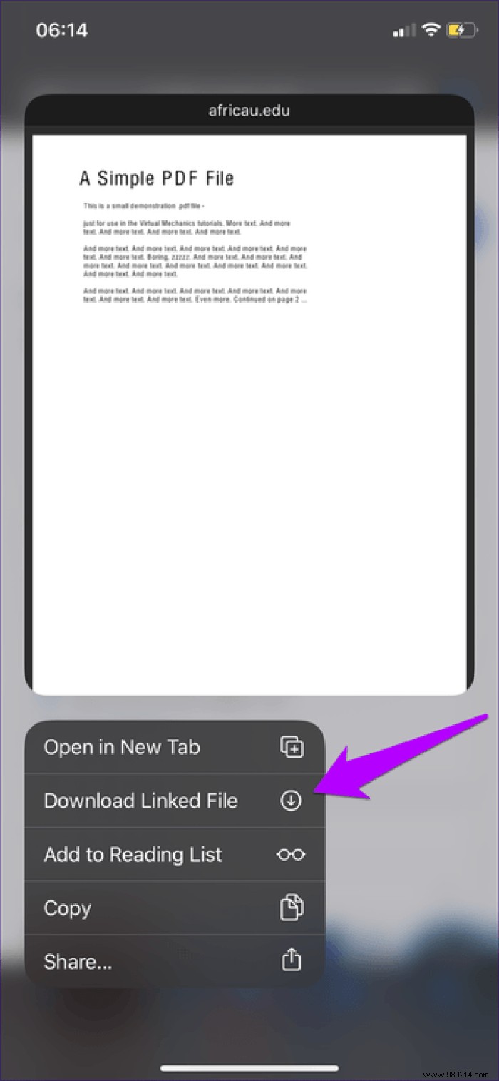 7 Essential Safari Download Manager Tips for iPhone and iPad