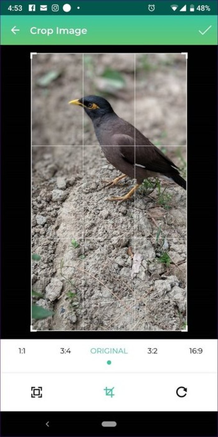 Top 5 Android Apps for Adding Professional Logos and Watermarks to Photos