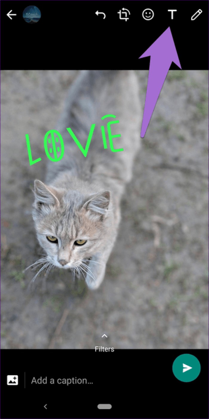 10 Essential WhatsApp Text Formatting Tricks to Make Your Messages Stand Out