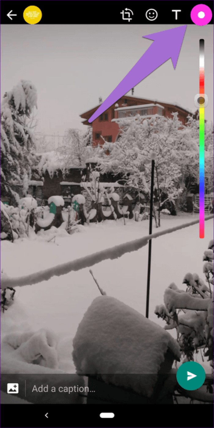 17 Essential WhatsApp Status Tips and Tricks from Tech Experts