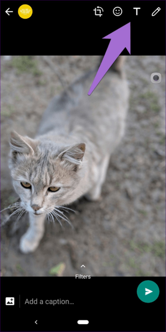 17 Essential WhatsApp Status Tips and Tricks from Tech Experts