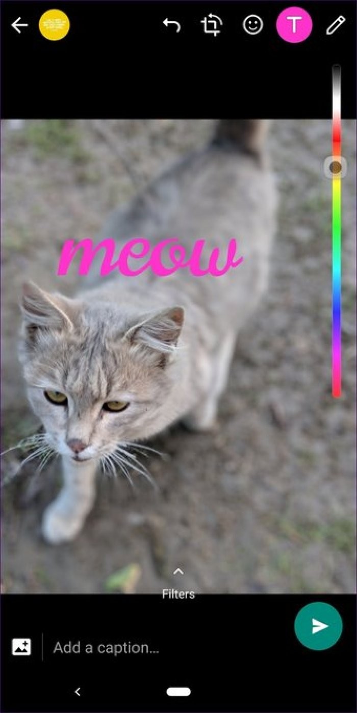 17 Essential WhatsApp Status Tips and Tricks from Tech Experts