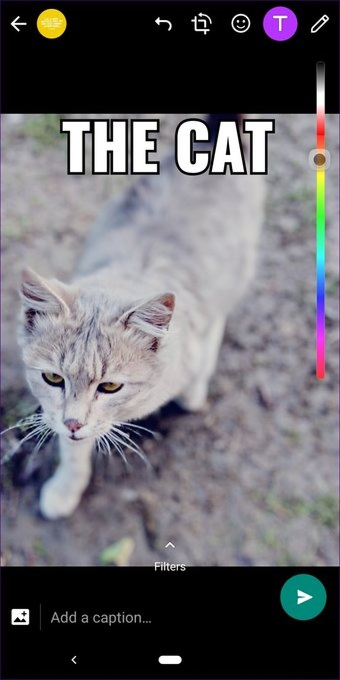 17 Essential WhatsApp Status Tips and Tricks from Tech Experts