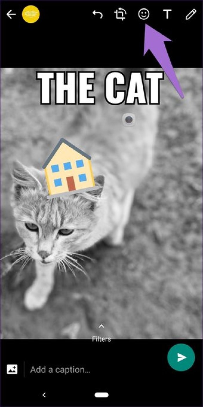 17 Essential WhatsApp Status Tips and Tricks from Tech Experts