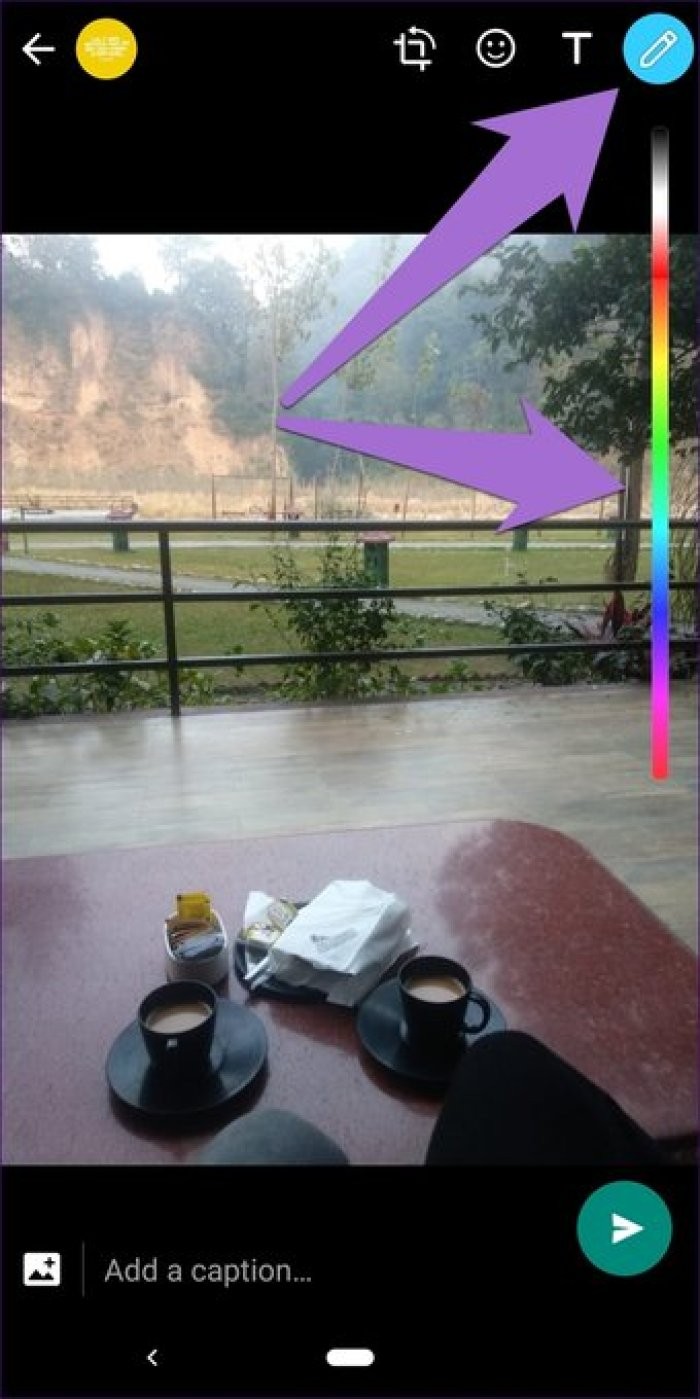 17 Essential WhatsApp Status Tips and Tricks from Tech Experts