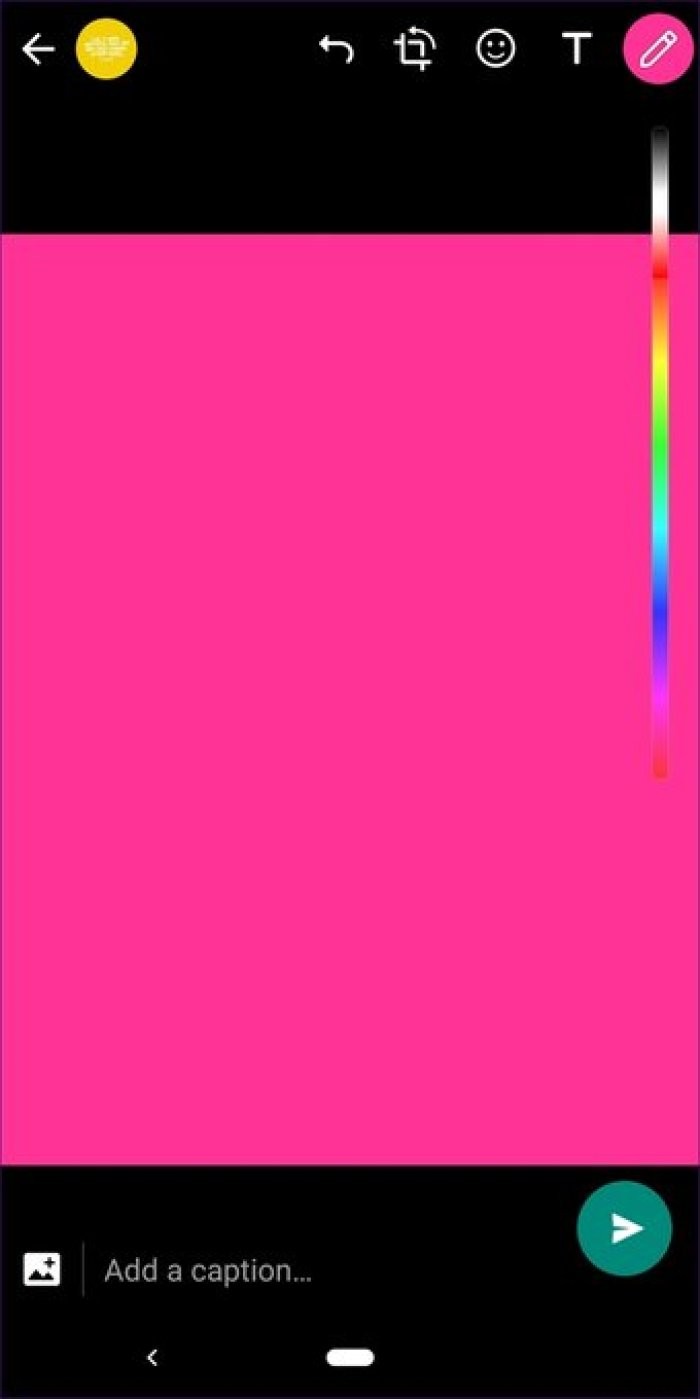 17 Essential WhatsApp Status Tips and Tricks from Tech Experts