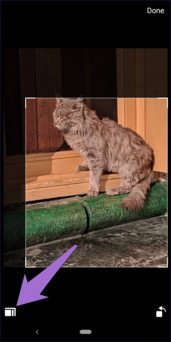 15 Expert Tips to Master Facebook Messenger Stories Like a Pro