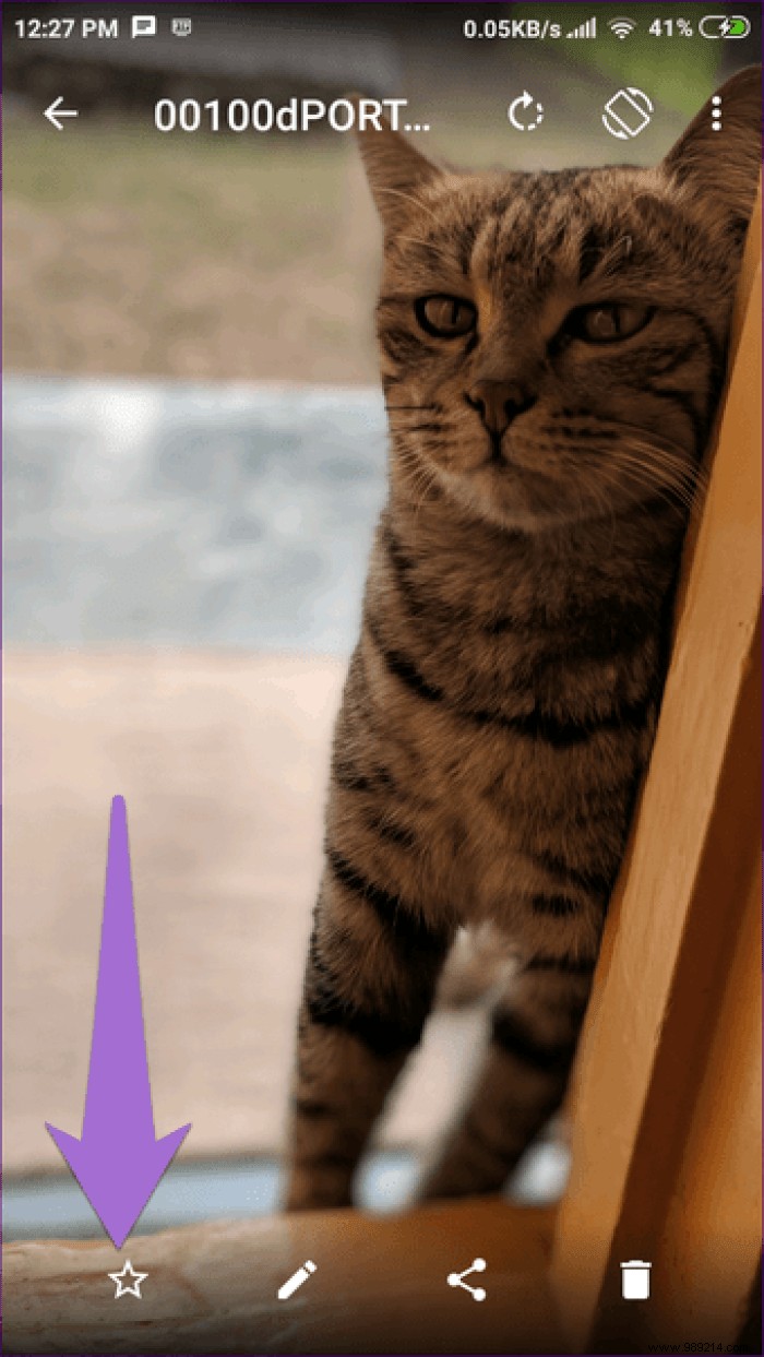 13 Expert Tips to Master the Simple Gallery App on Android