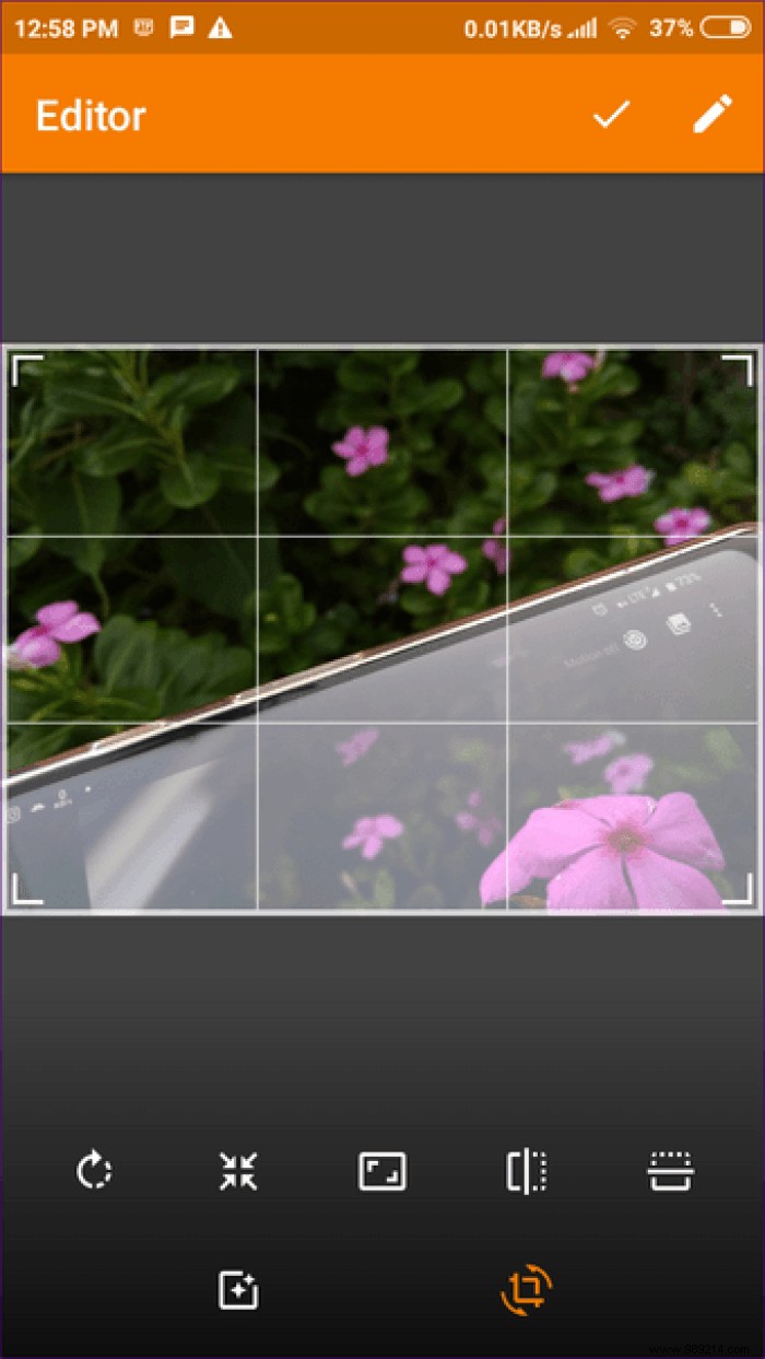 13 Expert Tips to Master the Simple Gallery App on Android