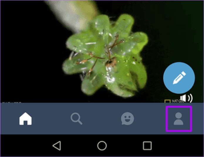 Tumblr Top Posts Explained: How They Work, Criteria, and Disabling the Feature
