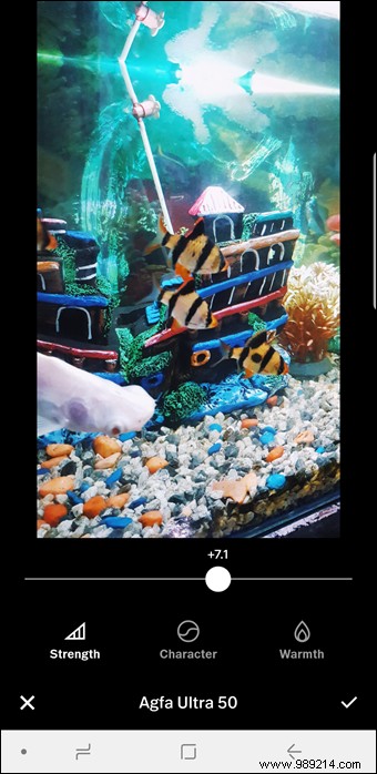 10 Expert VSCO Editing Tips for Stunning, Instagram-Ready Photos