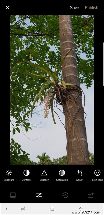 10 Expert VSCO Editing Tips for Stunning, Instagram-Ready Photos