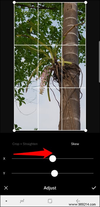 10 Expert VSCO Editing Tips for Stunning, Instagram-Ready Photos