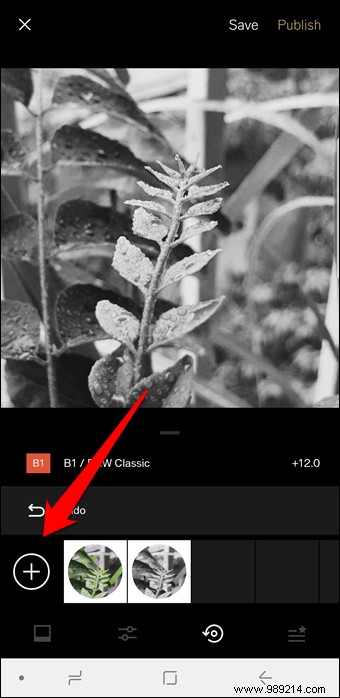 10 Expert VSCO Editing Tips for Stunning, Instagram-Ready Photos