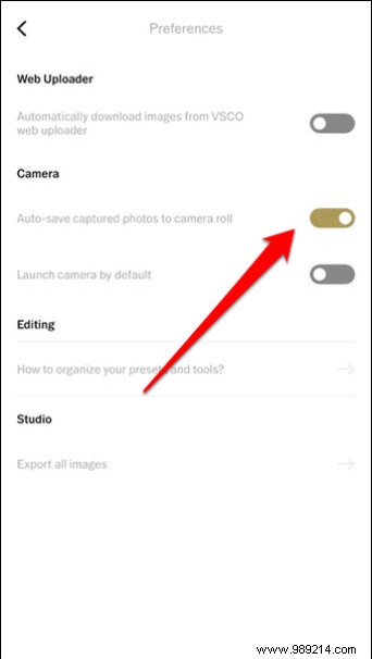 10 Expert VSCO Editing Tips for Stunning, Instagram-Ready Photos