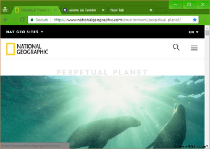 Customize Chrome Incognito s Dark Theme: Top 7 Themes for Better Visibility