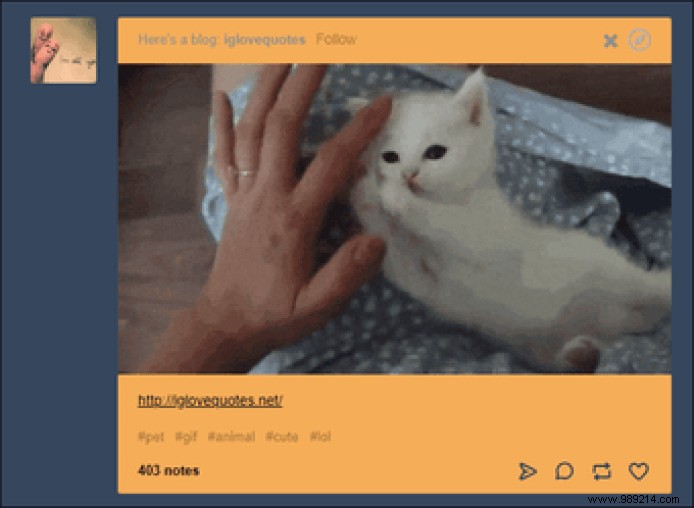 6 Must-Try Tumblr Labs Features to Elevate Your Dashboard Experience