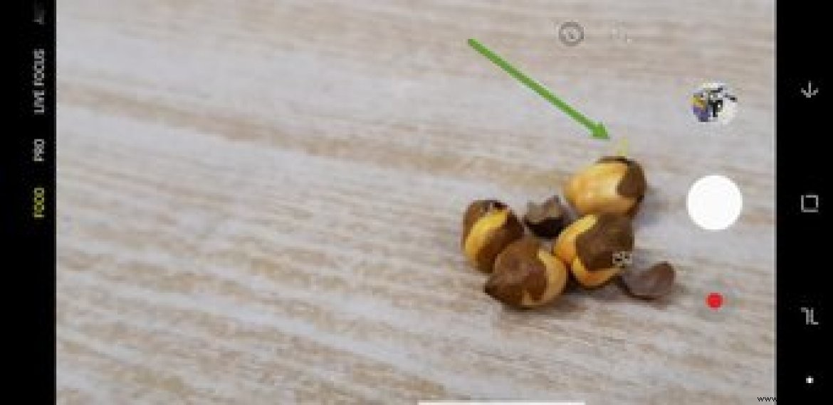 13 Expert Camera Tips for Stunning Shots on Samsung Galaxy S9 and S9+